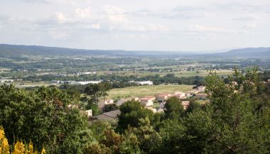 Large vallée à fond plat, agricole et anthropisée (Peyruis)