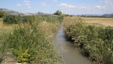 Importants canaux d'irrigation (canal de la Brillanne en aval de Volx)