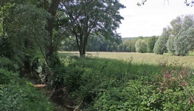 Prairies humides de l'Encrême (Céreste)