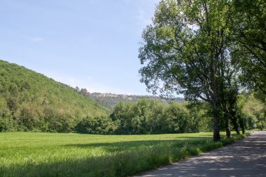 Cultures céréalières en fond de vallon avec un maillage de haies (Manosque)