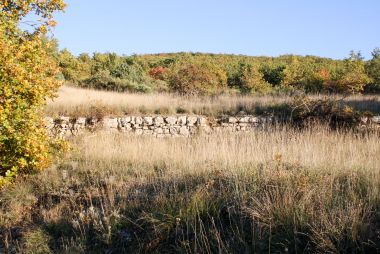 Abandon des piémonts agricoles et des systèmes de terrasses (Villemus)