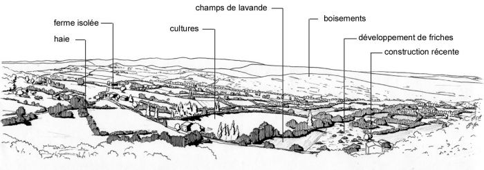 Les Collines de Vachères