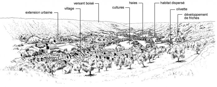 Le Plateau de Valensole